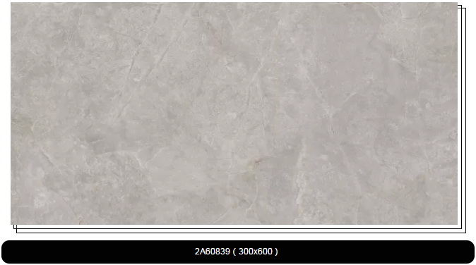 尊龙凯时官网版登录·(中国)官网