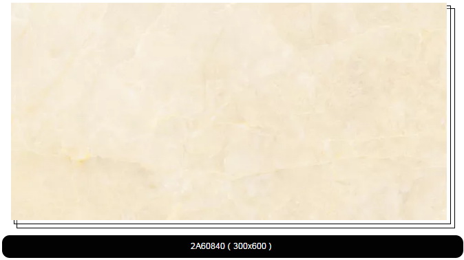 尊龙凯时官网版登录·(中国)官网