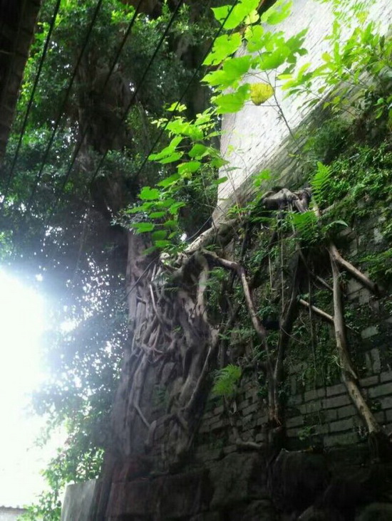 尊龙凯时官网版登录·(中国)官网