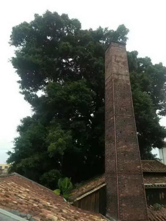 尊龙凯时官网版登录·(中国)官网