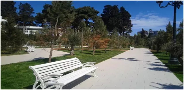 尊龙凯时官网版登录·(中国)官网