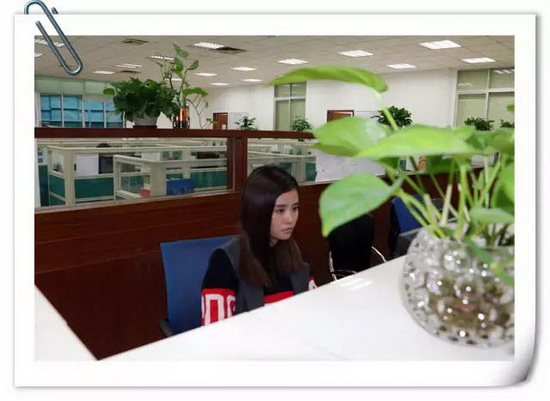 尊龙凯时官网版登录·(中国)官网