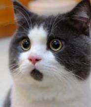 尊龙凯时官网版登录·(中国)官网