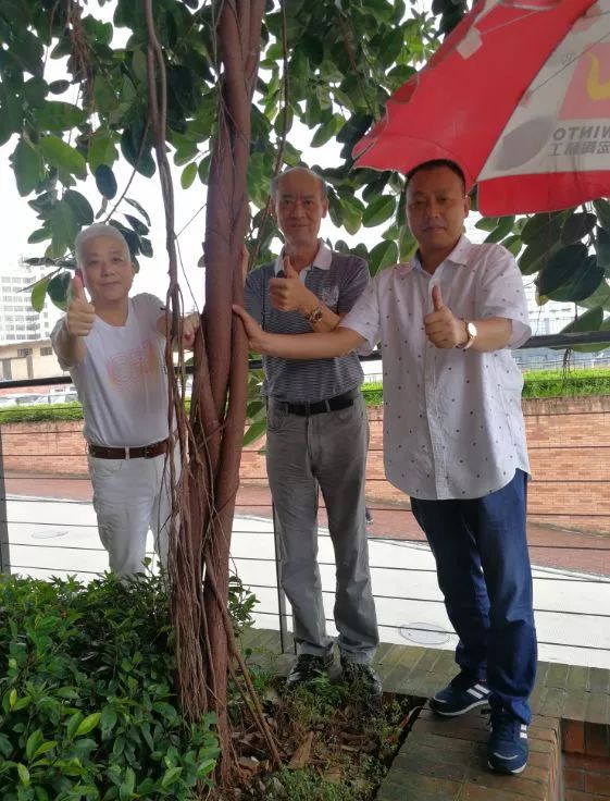 尊龙凯时官网版登录·(中国)官网