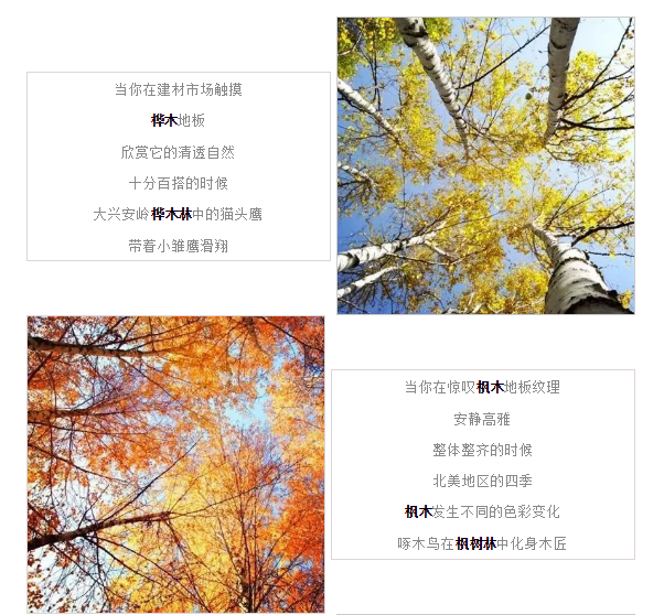 尊龙凯时官网版登录·(中国)官网