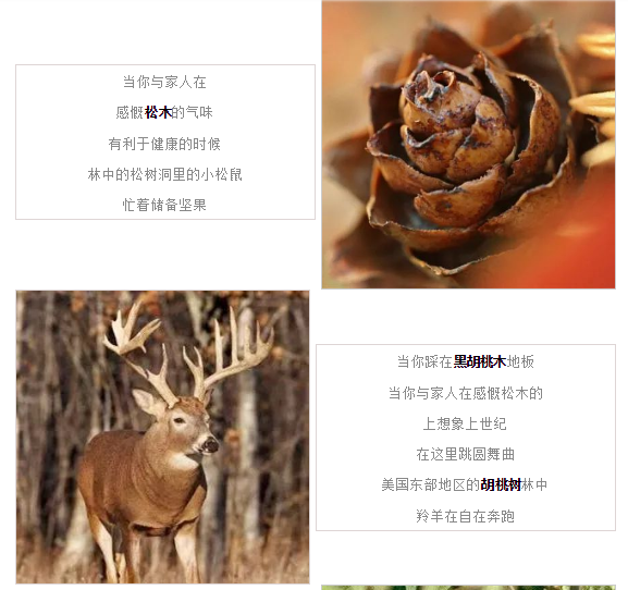 尊龙凯时官网版登录·(中国)官网