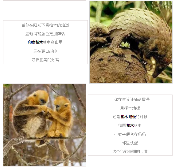 尊龙凯时官网版登录·(中国)官网