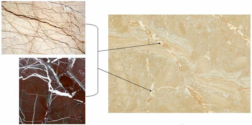 尊龙凯时官网版登录·(中国)官网