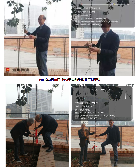 尊龙凯时官网版登录·(中国)官网