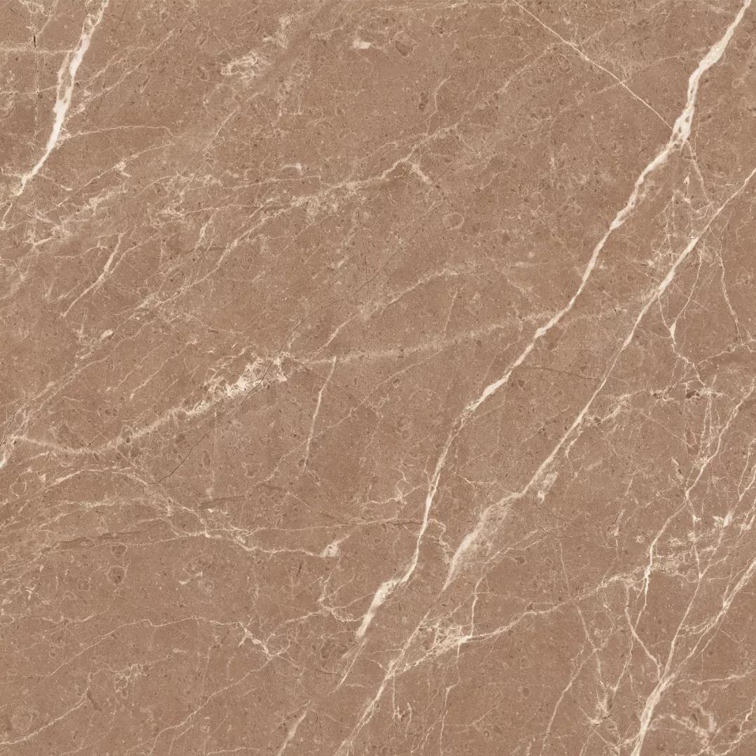 尊龙凯时官网版登录·(中国)官网