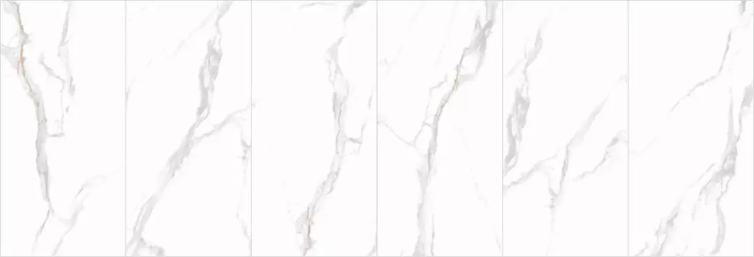 尊龙凯时官网版登录·(中国)官网