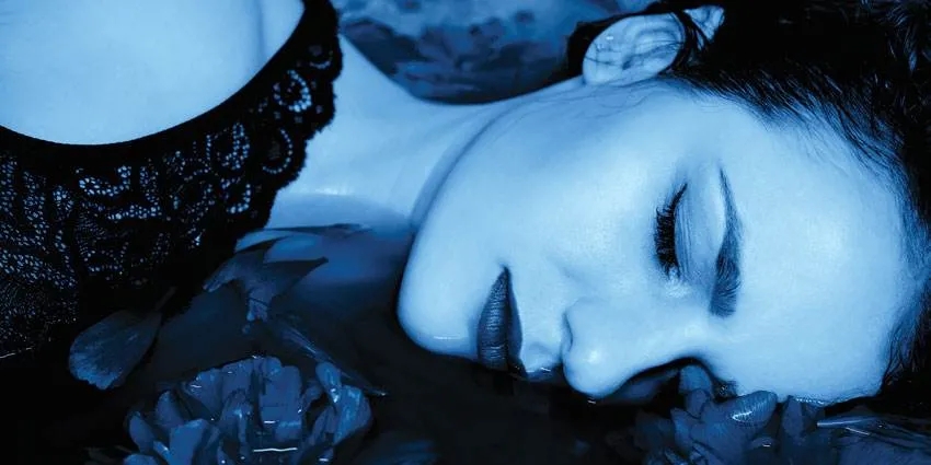 尊龙凯时官网版登录睡尤物图