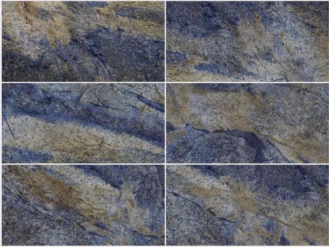 尊龙凯时官网版登录蓝色玫瑰瓷砖图