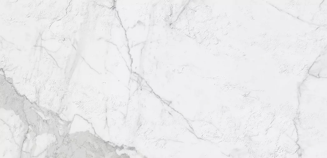 尊龙凯时官网版登录柔抛面