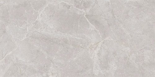 尊龙凯时官网版登录瓷片型号：W60020EP-WH（二合一）