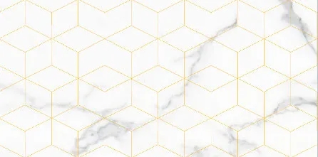 尊龙凯时官网版登录瓷片型号：2A60920