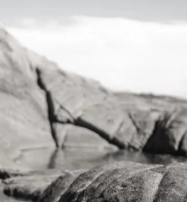 尊龙凯时官网版登录陶瓷岩板