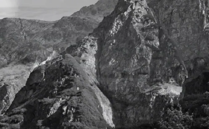 尊龙凯时官网版登录·(中国)官网