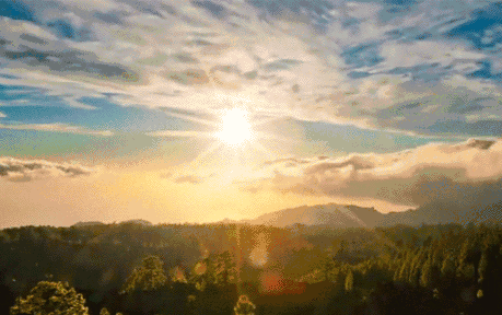 尊龙凯时官网版登录陶瓷