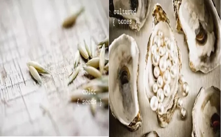 尊龙凯时官网版登录陶瓷