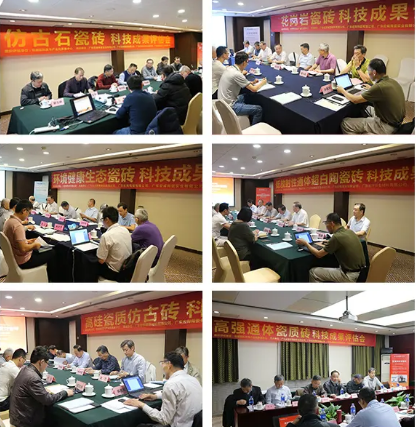 尊龙凯时官网版登录地砖研发力