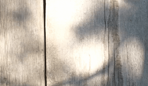 尊龙凯时官网版登录和地砖木质纹理效果图