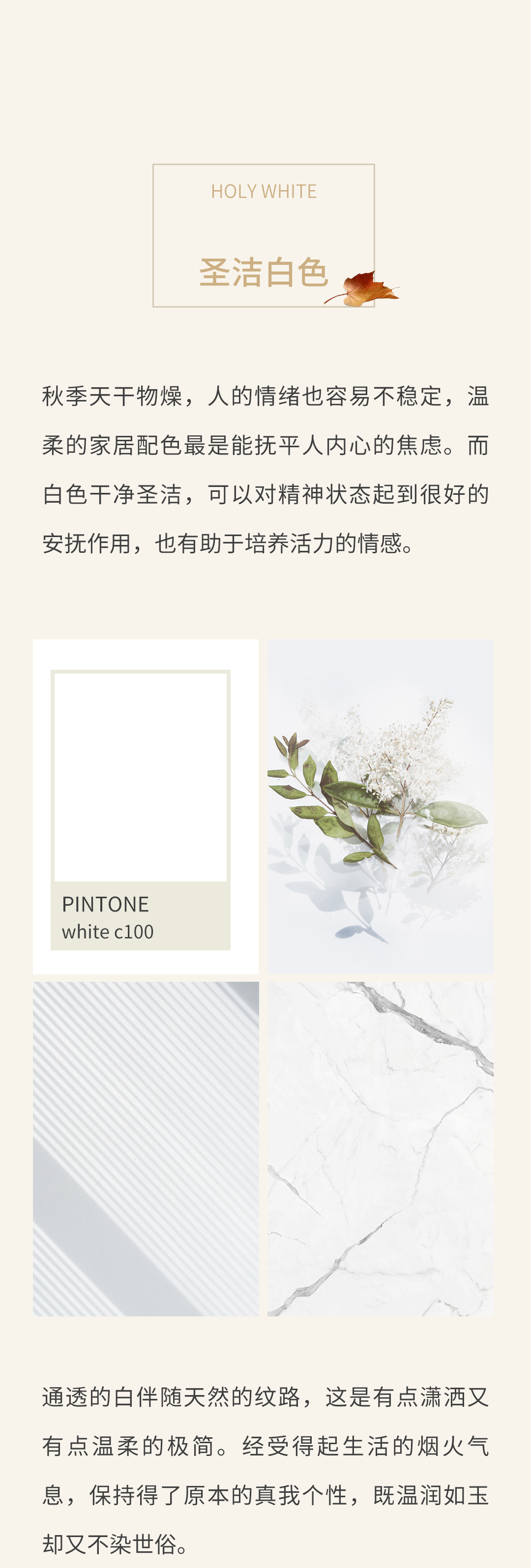 尊龙凯时官网版登录·(中国)官网