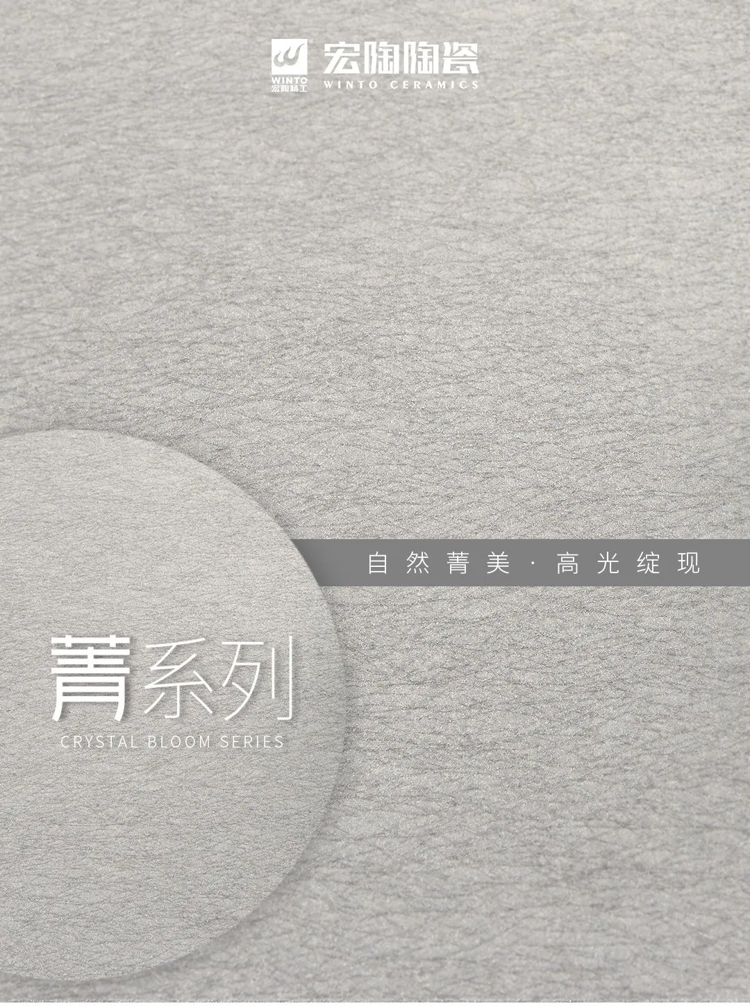 尊龙凯时官网版登录质感砖菁系列图片