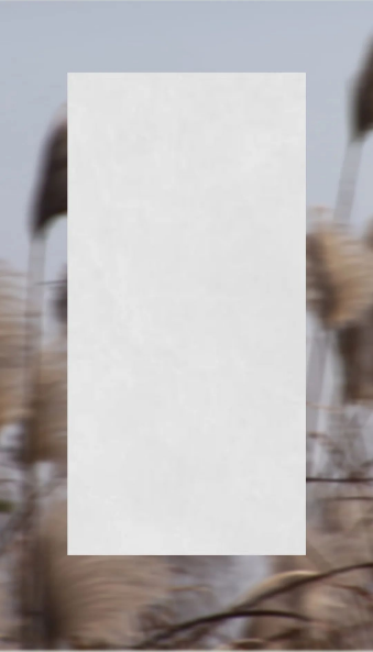 尊龙凯时官网版登录葭灰质感砖图