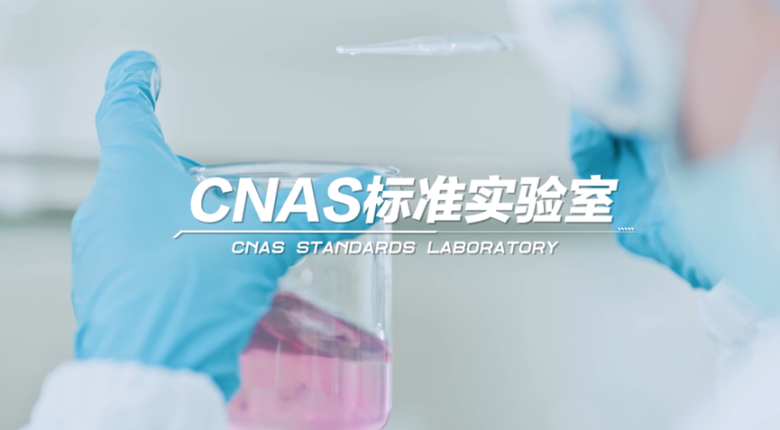 尊龙凯时官网版登录·(中国)官网