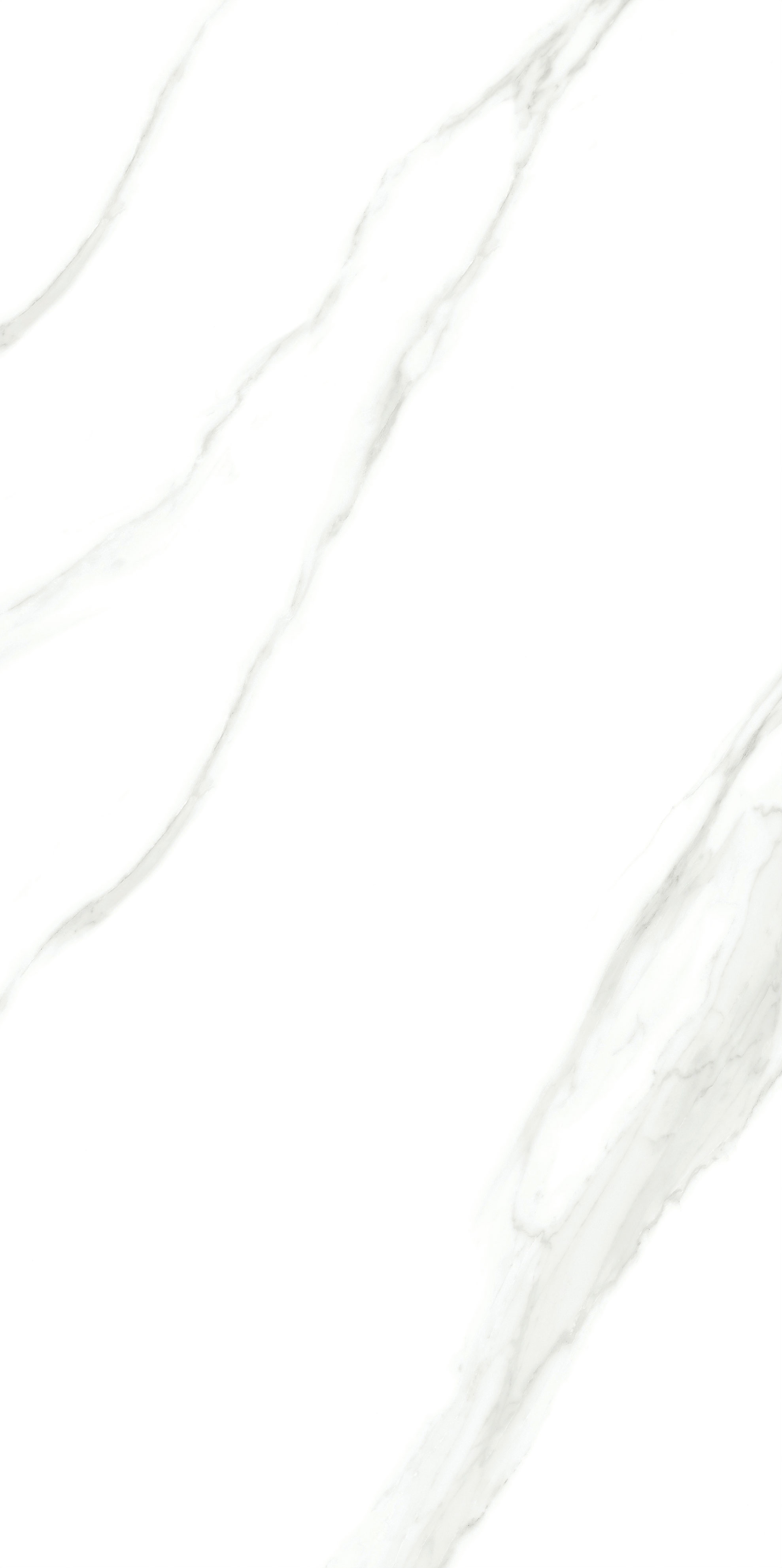 尊龙凯时官网版登录·(中国)官网