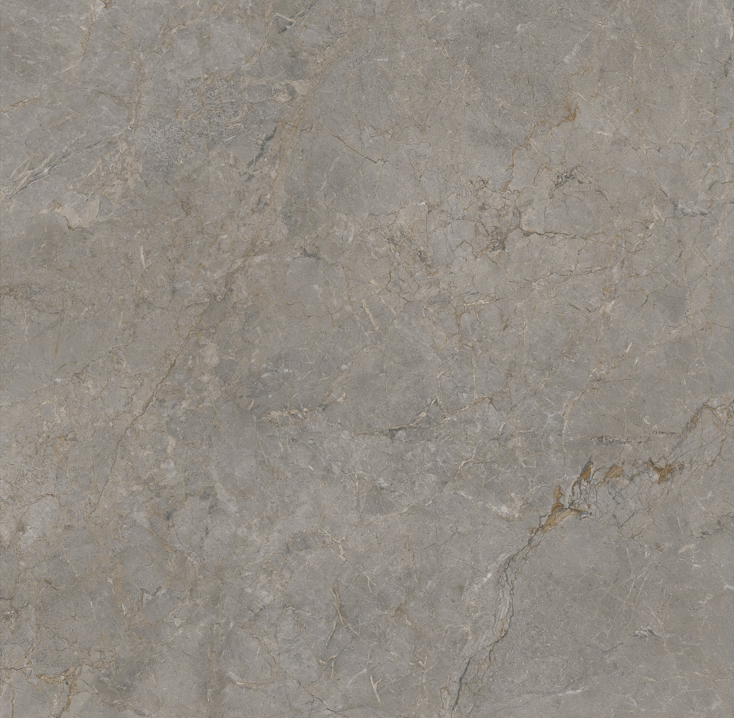 尊龙凯时官网版登录·(中国)官网