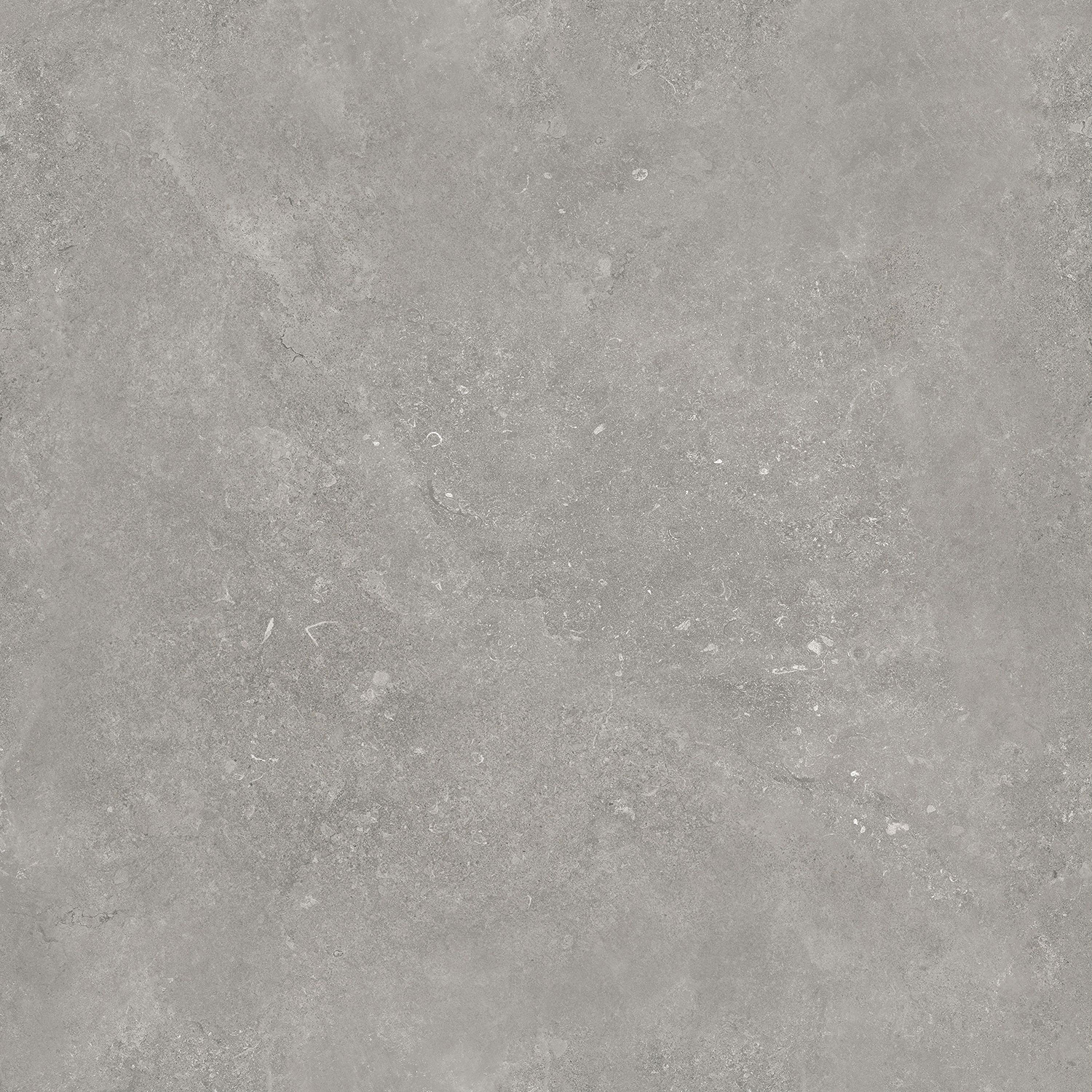 尊龙凯时官网版登录·(中国)官网