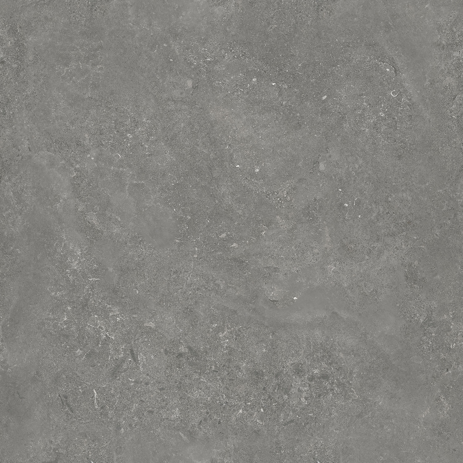 尊龙凯时官网版登录·(中国)官网