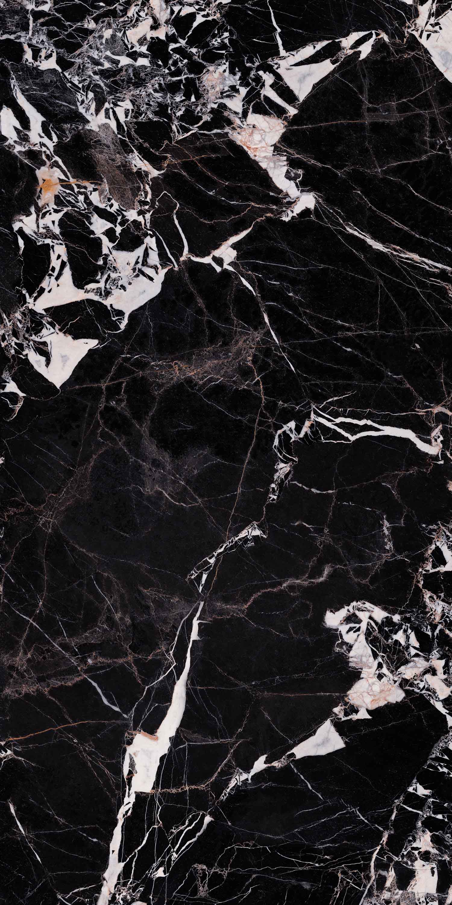 尊龙凯时官网版登录·(中国)官网