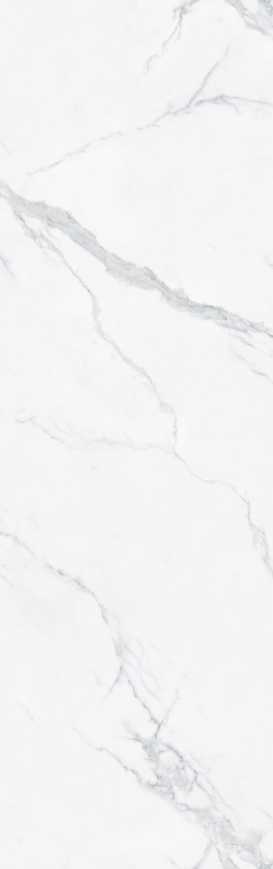 尊龙凯时官网版登录·(中国)官网