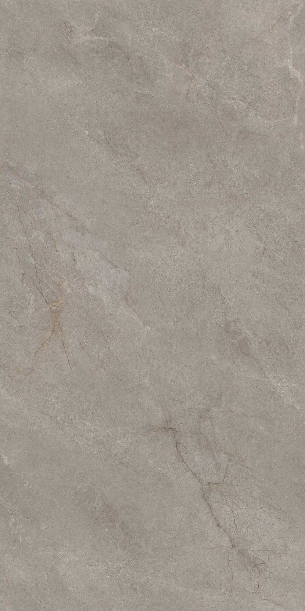 尊龙凯时官网版登录·(中国)官网