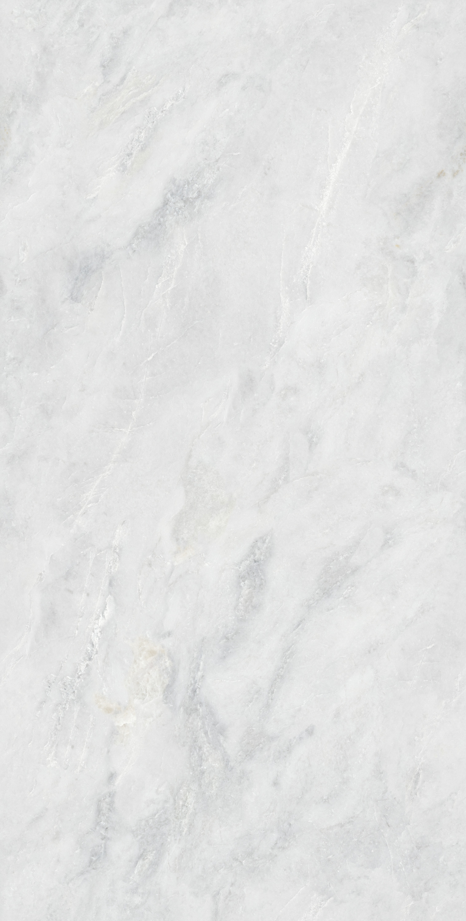 尊龙凯时官网版登录·(中国)官网