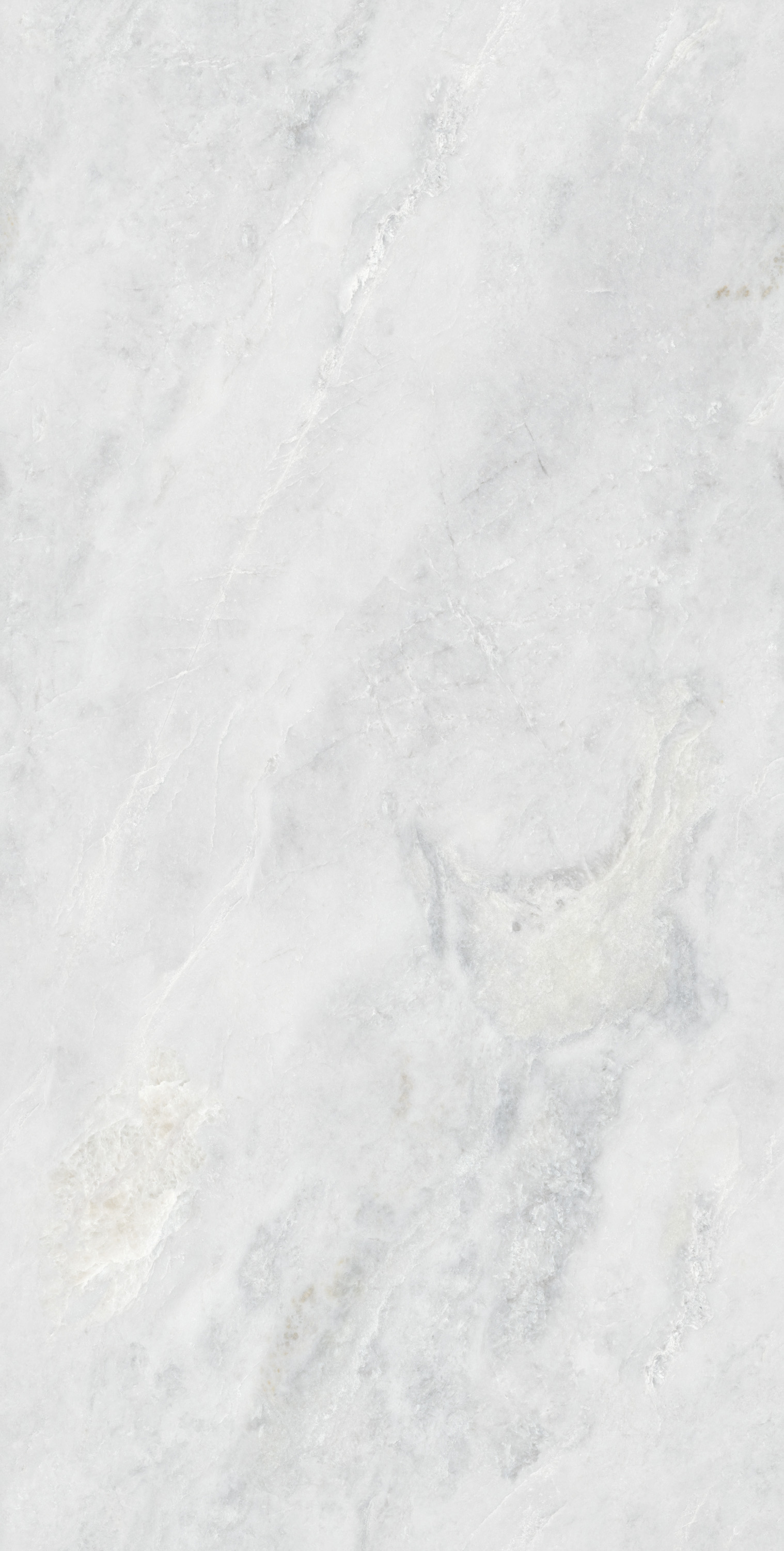 尊龙凯时官网版登录·(中国)官网