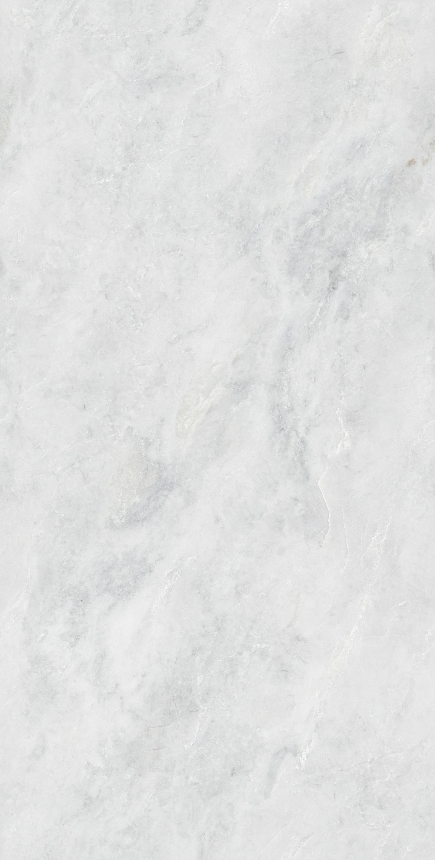 尊龙凯时官网版登录·(中国)官网