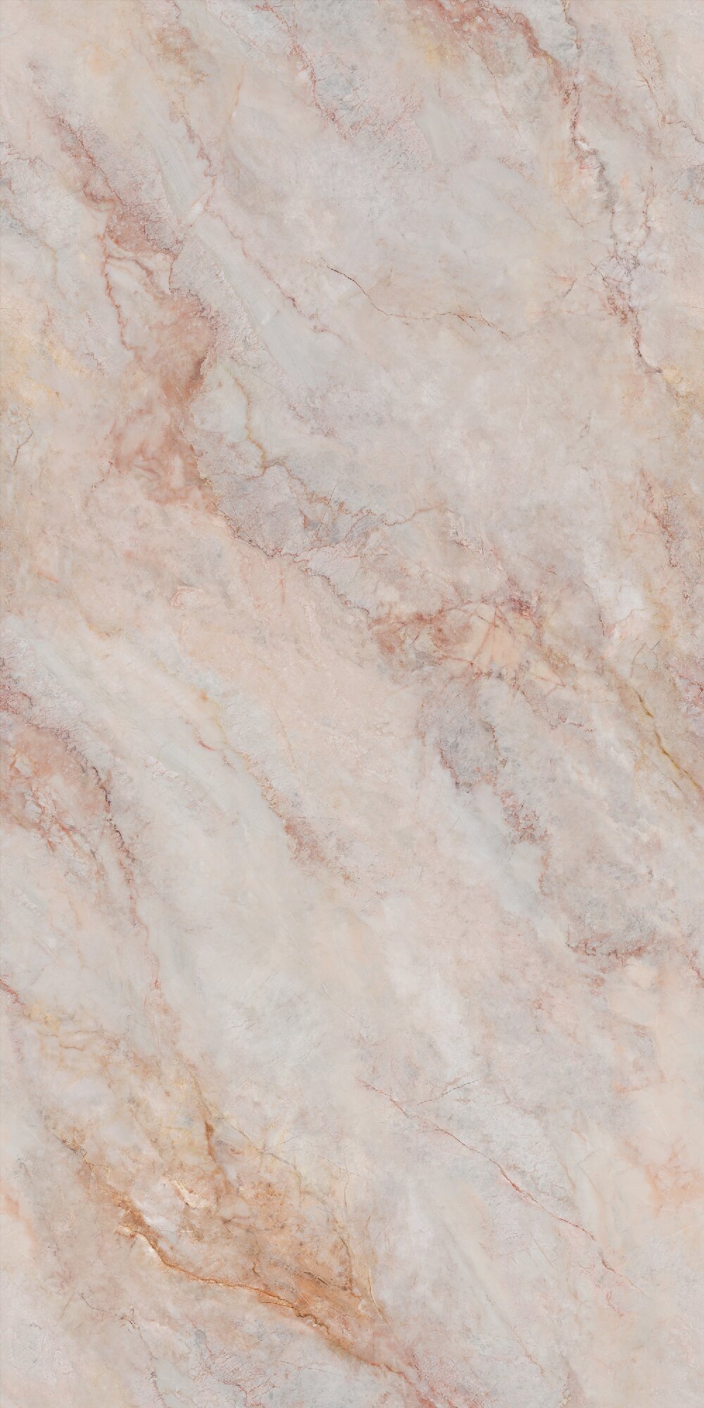 尊龙凯时官网版登录·(中国)官网